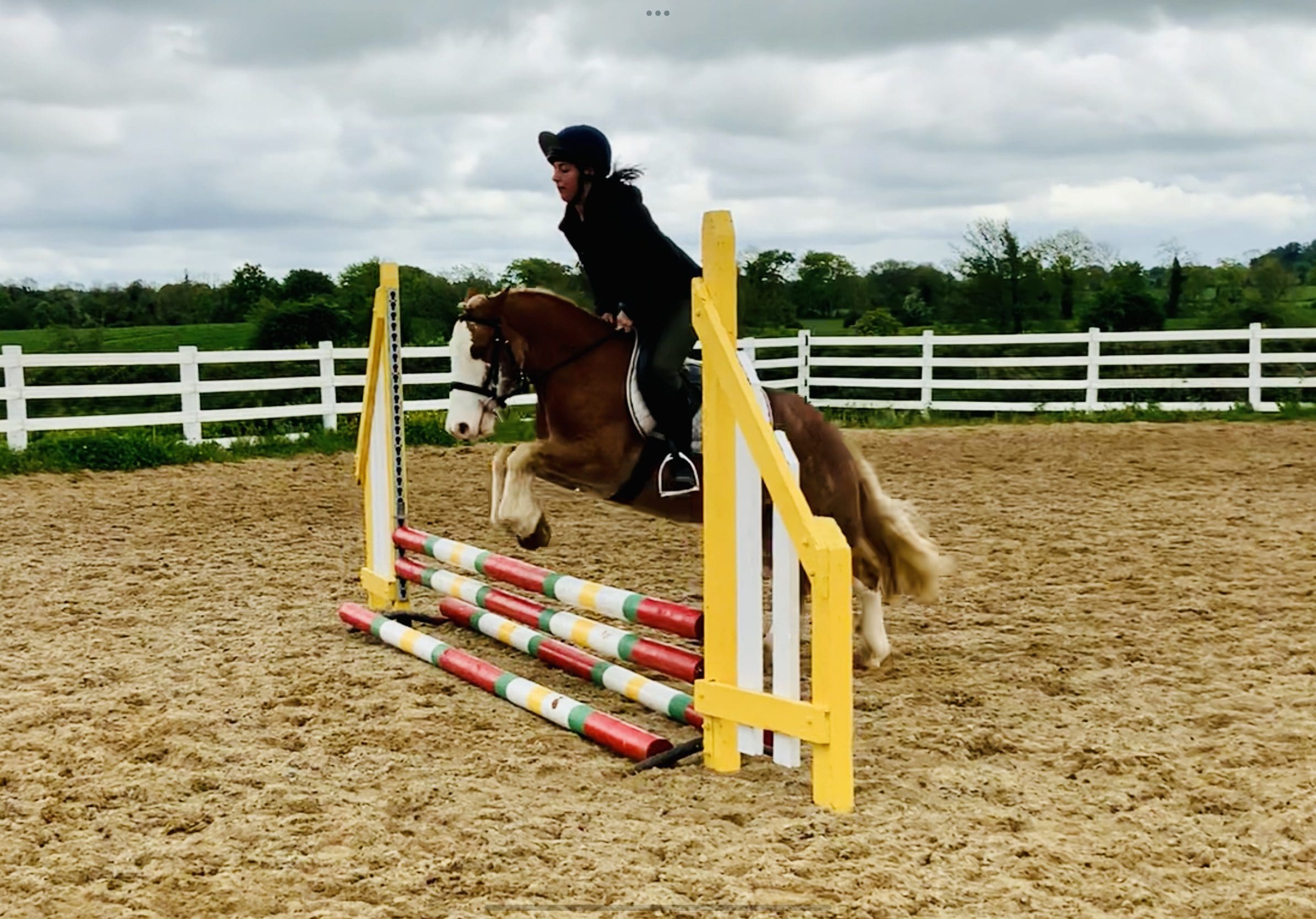 Cody - future first pony!