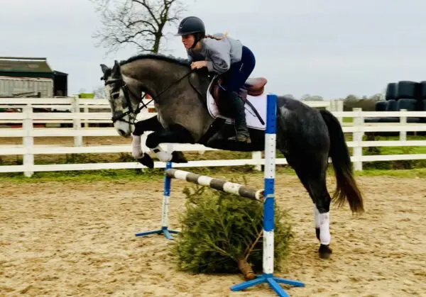 Ruby - super talented class 1 mare!