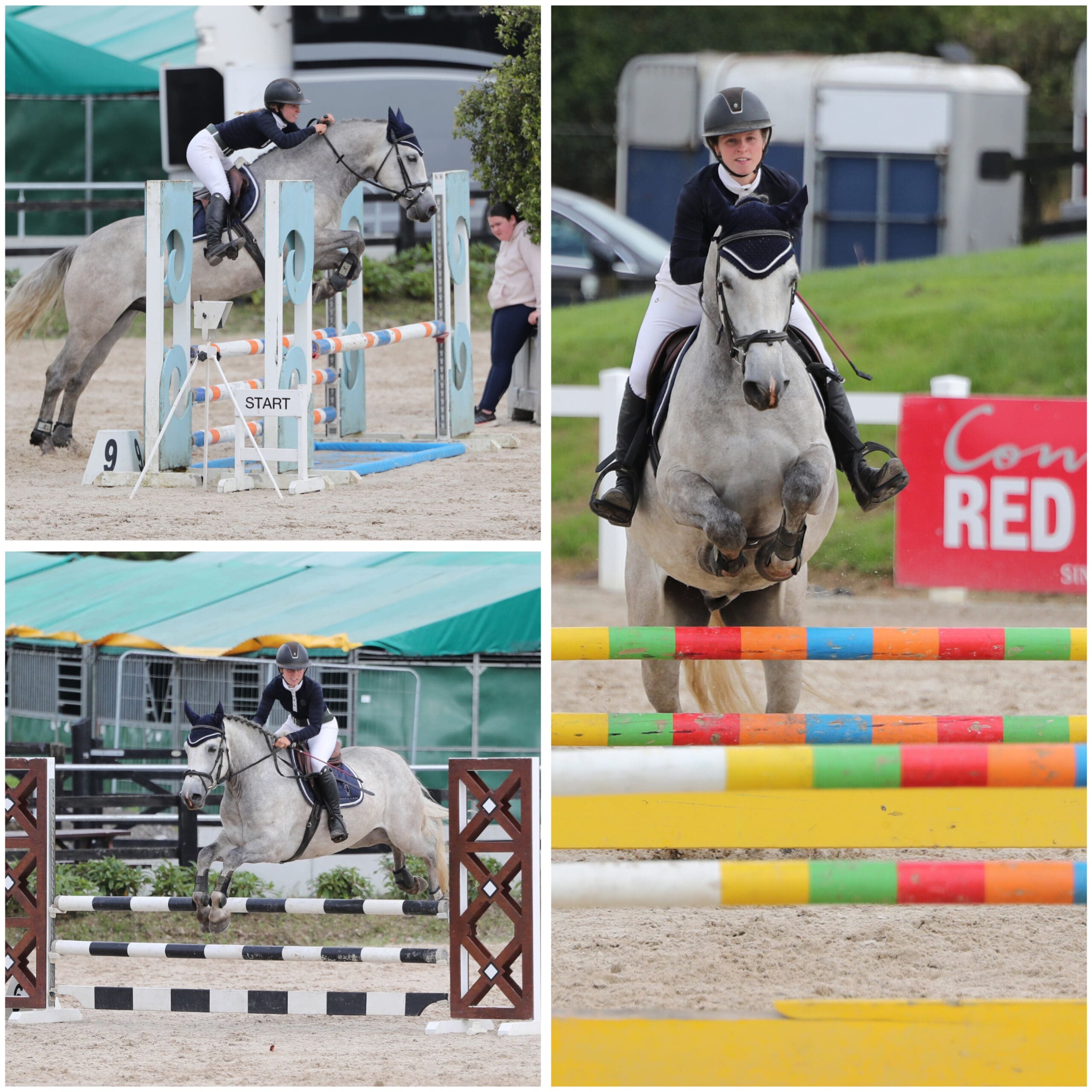 Promise - super jumper, working hunter prospect!