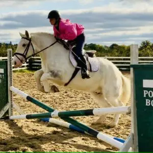Tayto- ideal family horse/first horse!