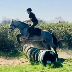 Florence - unbelievably quiet beginner mare