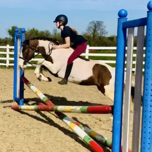 Sugar - super first pony for jumping/hunting