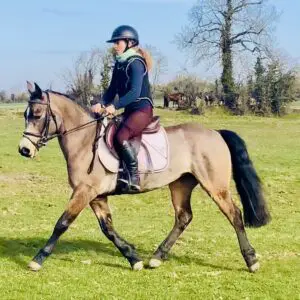 Amber - as pretty as they come - extremely talented class 1 mare!
