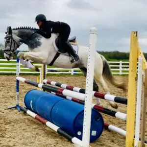 Kandy - super sweet and easy Allrounder!