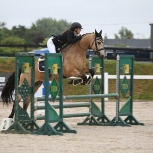 Hero - Elite Performance Connemara – Proven and Talented.