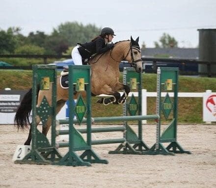 Hero - Elite Performance Connemara – Proven and Talented.