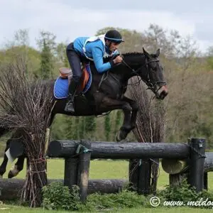 Major - serious eventing prospect with lots of experience!