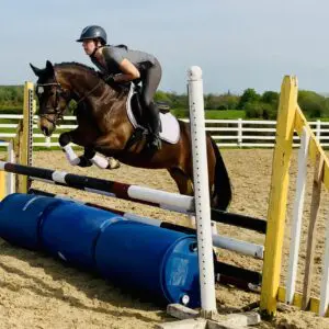 Button– A Beautiful, Talented Class 1 Mare with a Heart of Gold!