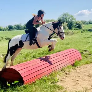 Sweety - adorable and easy mare!