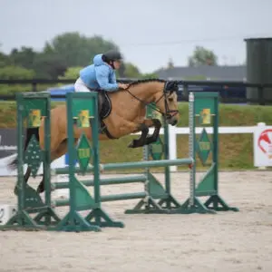 Darbey - athletic, kind, pony of a lifetime