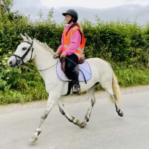 Lady – The Ultimate First Pony with a Heart of Gold!