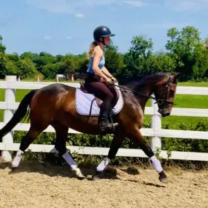 Valerie – A Quality Connemara Mare with Heart and Talent!