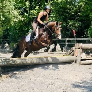 Danny - a truly special traditional pony!