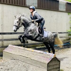 April - Kind and easy going Allround mare!