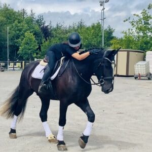 Guinness - a dream horse in every way!