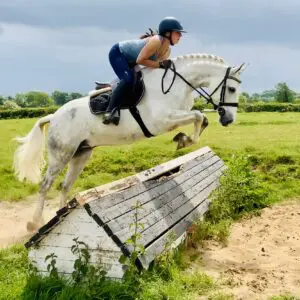 Gerry – A Dream Pony Ready to Make More Dreams Come True!