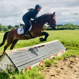 Quality. Temperament. Talent. Calvin Has It All.