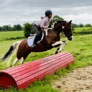 Izzy - The Mare Who Brings the Fun Wherever She Goes!