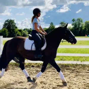 Meet Jerry, the Cob with Class and Character!