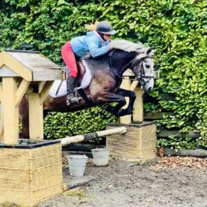 Kiwi – Quiet, Willing, and Wonderfully Easy. Lovely first Pony!