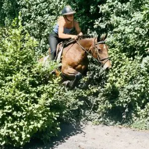 Bella - ideal first pony with lots of experience!