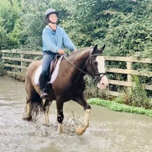 Jimmy – A Genuine, Kind-Hearted 14.1hh Gelding with a Bright Future