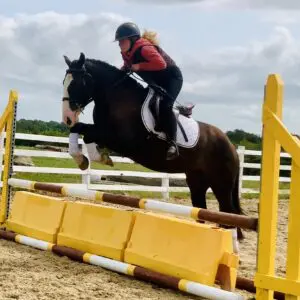 Matty – The Perfect Pony Club Pal or Fun All-Rounder