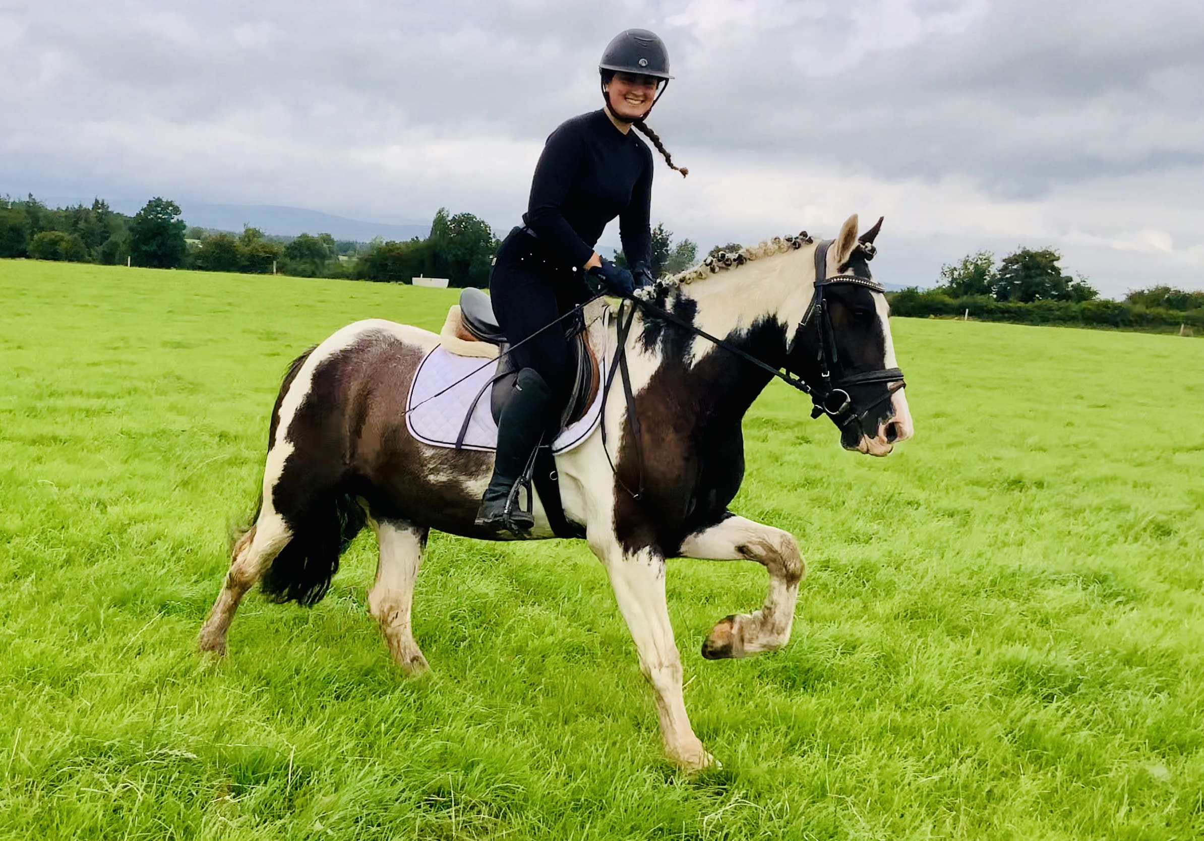 Cookie – A Cracking Cob Ready for Fun, Hacking & More!