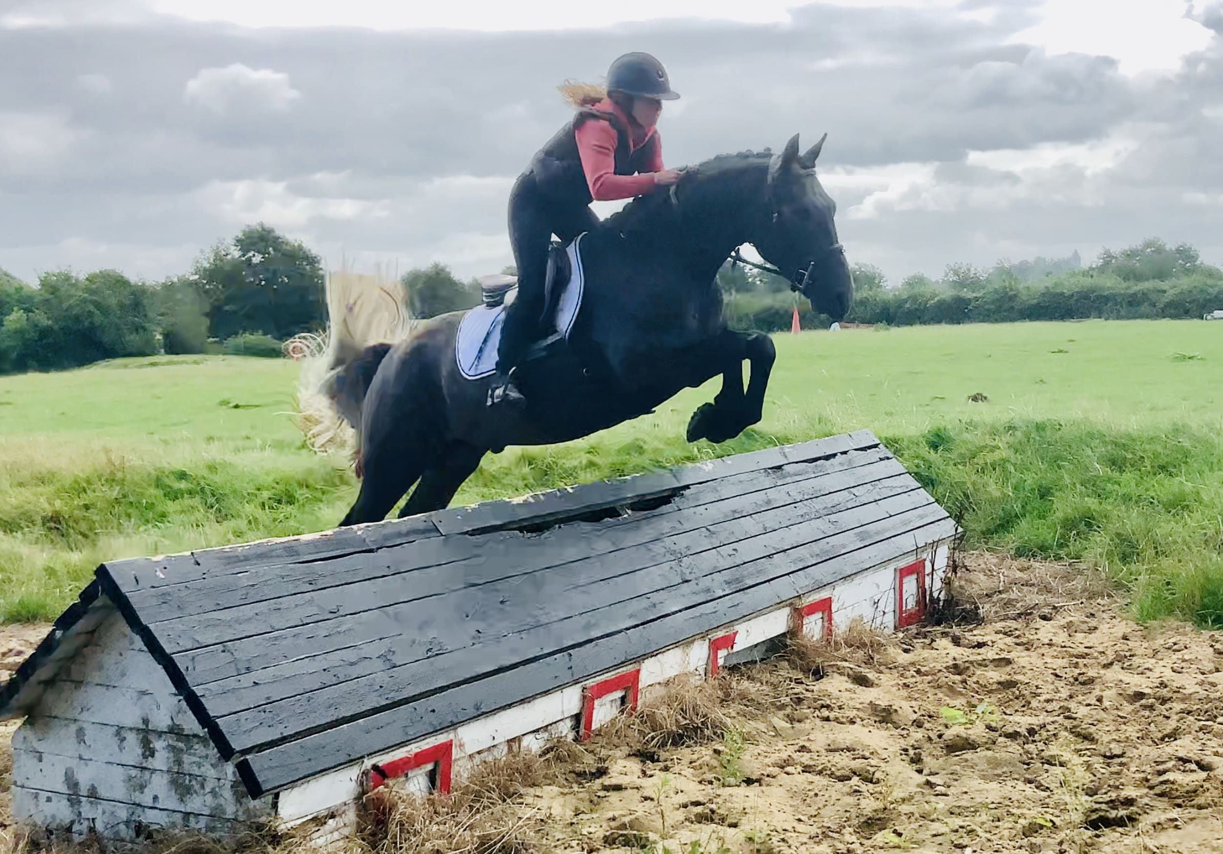 Stevie - Perfect Pony Clubber – Gorgeous, Smart & Ready for Anything