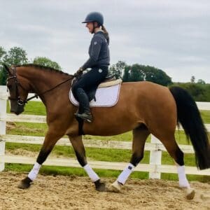 Vinnie – The Ultimate All-Rounder, the ideal hunter!