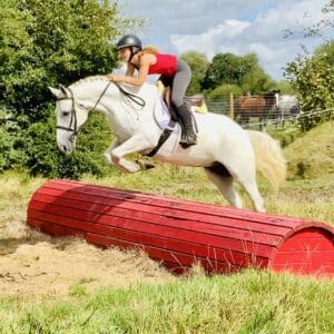 Captain - a pony of a lifetime!