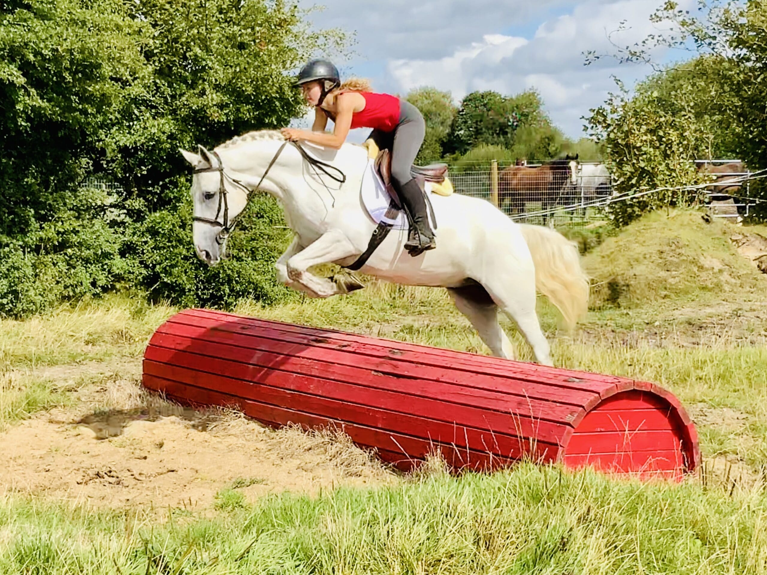 Captain - a pony of a lifetime!