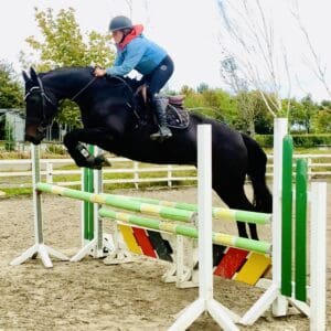 Queenie - eye catching dream mare, a one in a million!