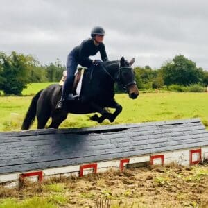 Belle - super quiet novice friendly Connemara mare!