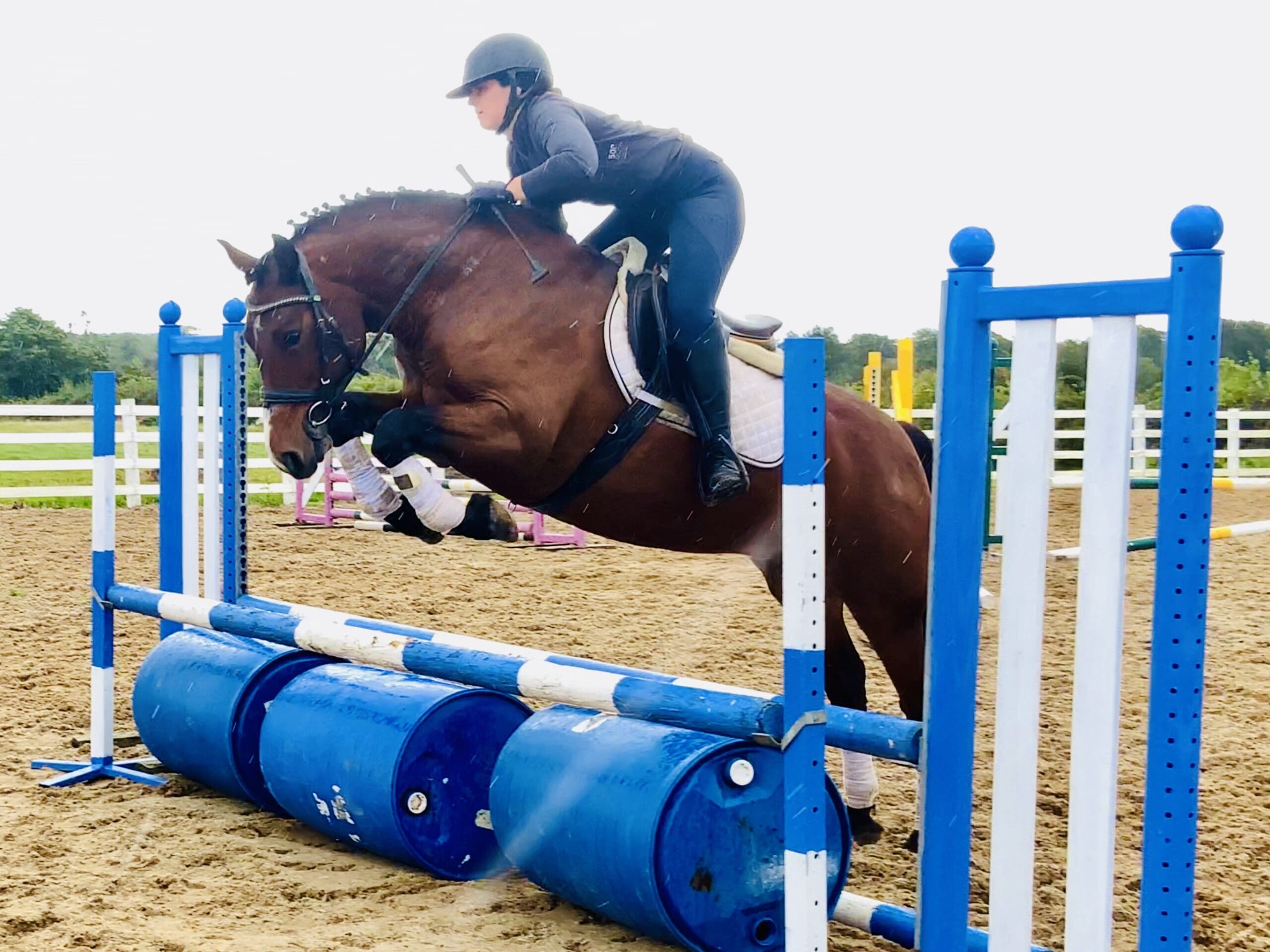 Rose – the kind, clever, and classy Connemara everyone’s wants!
