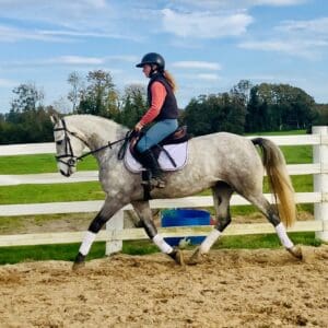 Silver - Perfect First Pony – Safe, Sweet & Steady