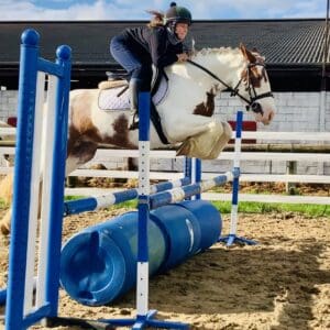 Harley – The Perfect Pony Club and Family All-Rounder