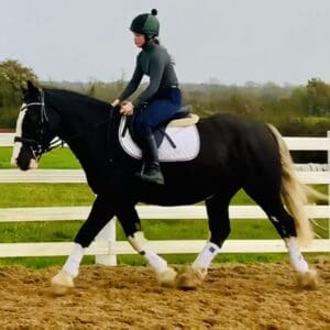 Oreo – Stunning, Kind and Honest All-Rounder