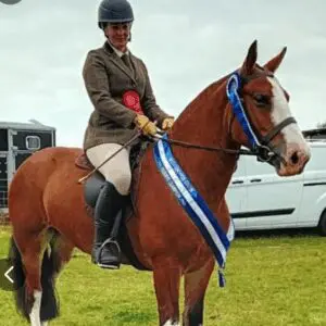 Brandy- the ultimate one in a million novice Allrounder!