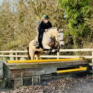 Sammy - as pretty as they come, competitive pony with a great future!