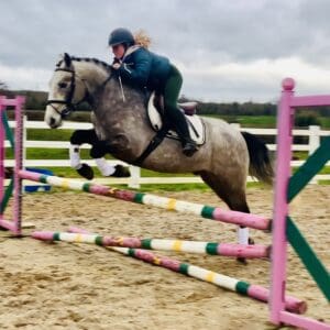 Quinn - Reserve Champion Connemara – Kind Nature, Quality Paces, Super Jump