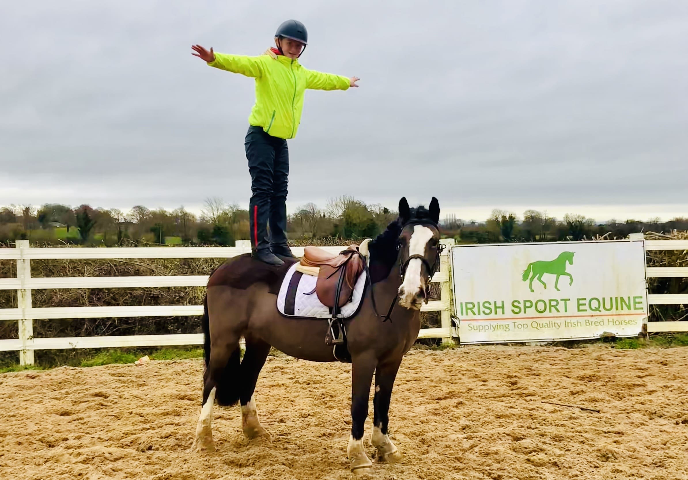Holly - truly easy and quiet mare, ideal mother daughter share!
