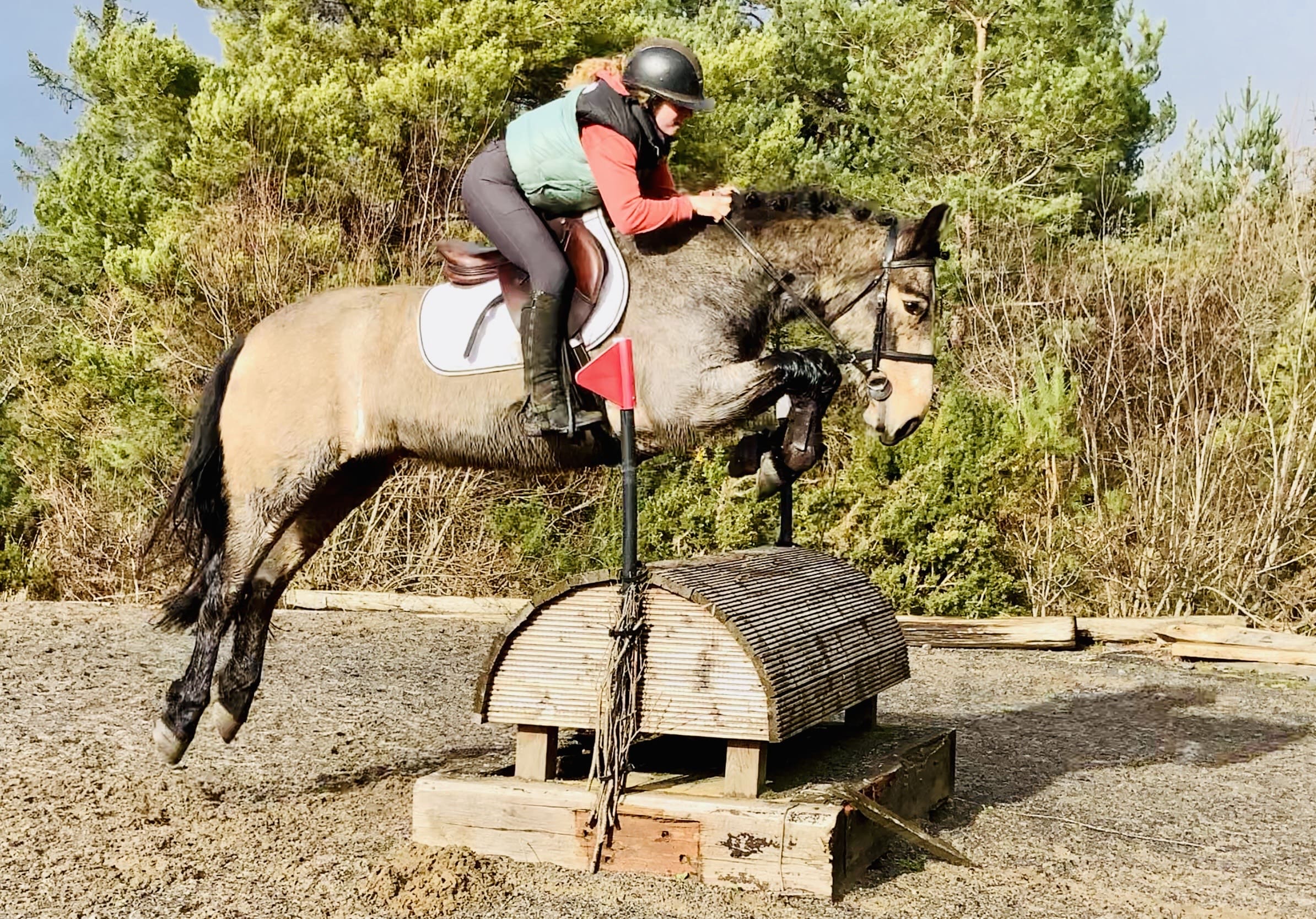 Brandy - Kind, talented, confidence-giving all-rounder.