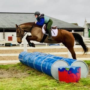 Crystal - super easy and quiet allrounder / riding club type!