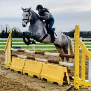 Blake - kind, quiet and easy going allrounder!