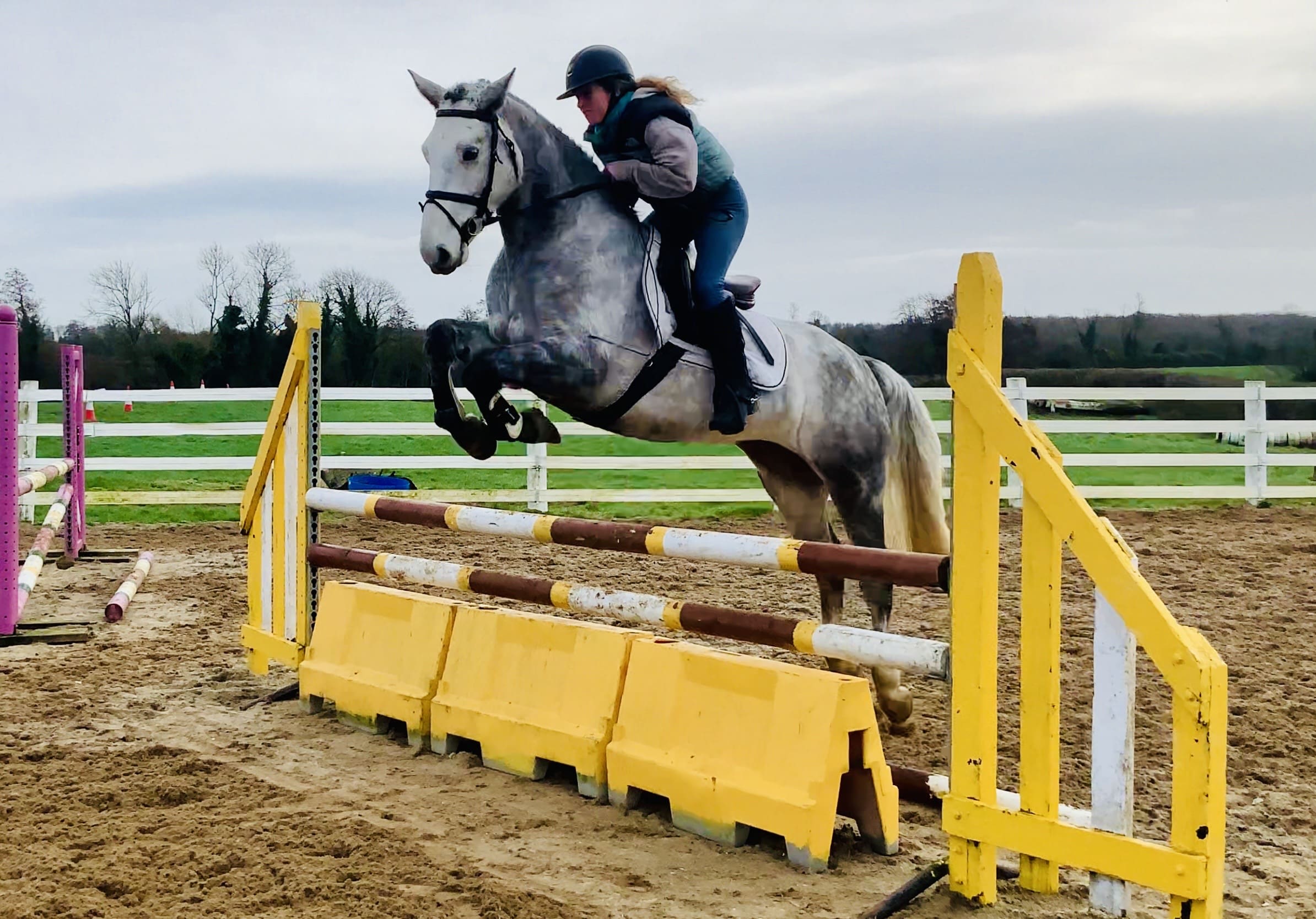 Blake - kind, quiet and easy going allrounder!