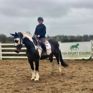 FLASH THE ULTIMATE DREAM HORSE