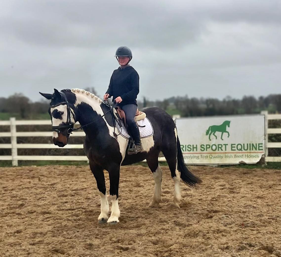 FLASH THE ULTIMATE DREAM HORSE