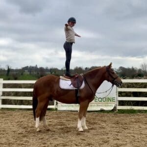 Theo-Stunning quality 15.2 4 year old gelding !