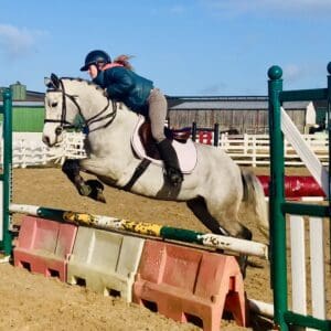 Minnie - super easy and quiet mare with exceptional temperament!